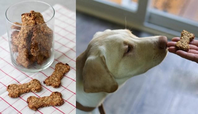 3 ingredient peanut clearance butter banana dog treats