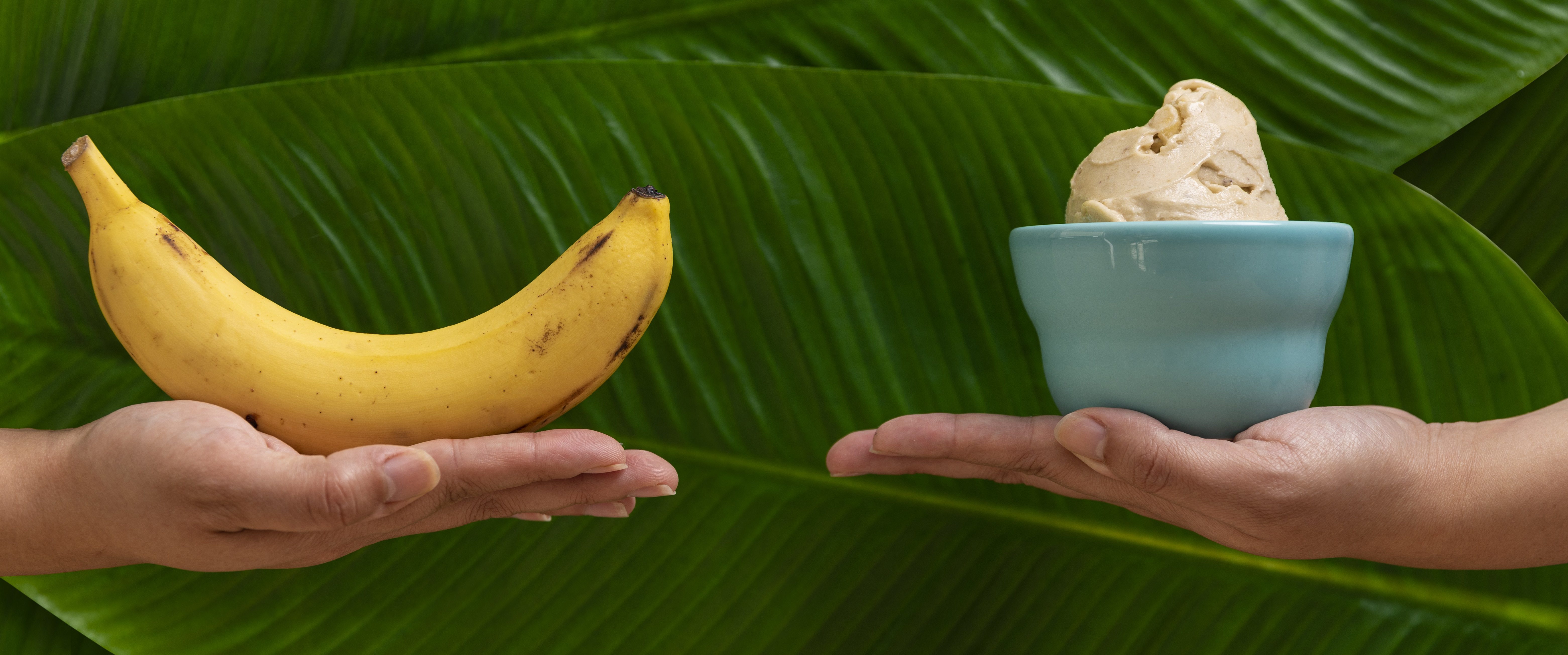 https://onebananas.com/wp-content/uploads/2020/08/banana-puree.jpg